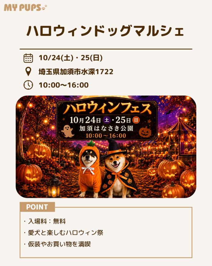 MYPUPS運営事務局公式アカウント