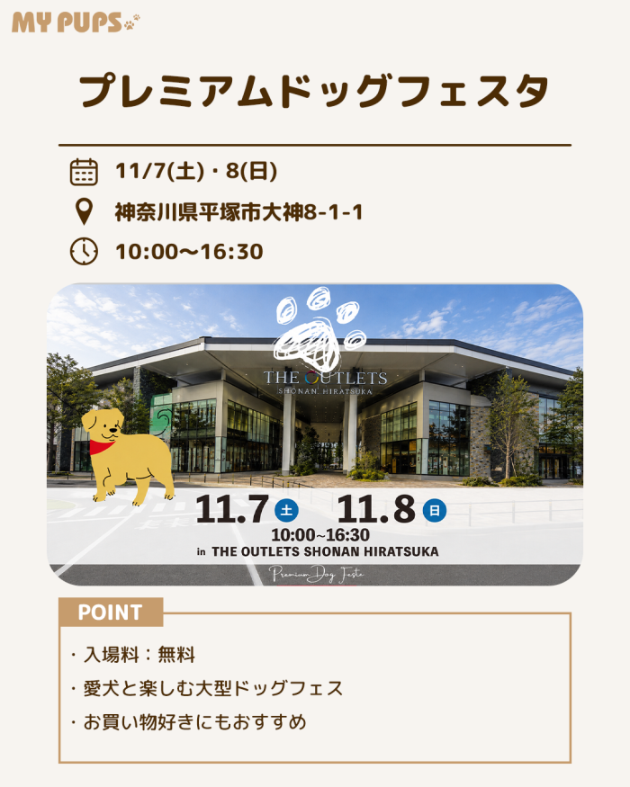 MYPUPS運営事務局公式アカウント