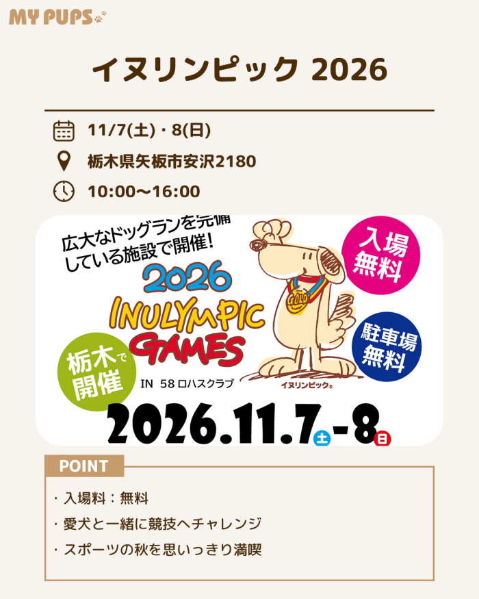 MYPUPS運営事務局公式アカウント