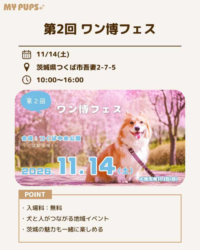 MYPUPS運営事務局公式アカウント