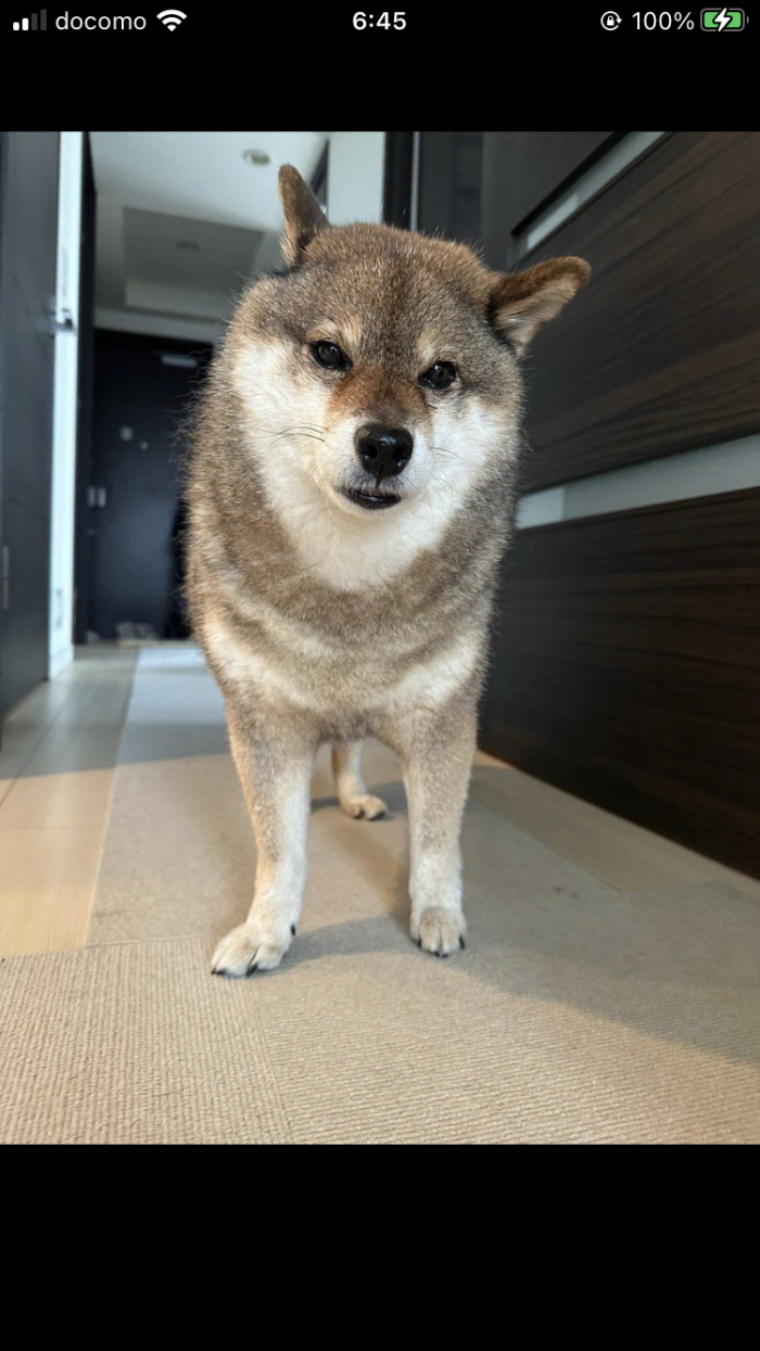 村人